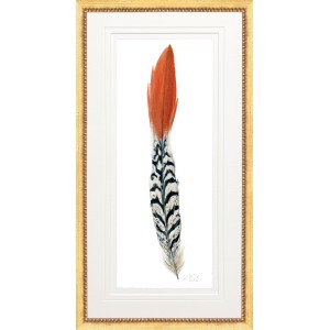 KS- PHEASANT FEATHER 3